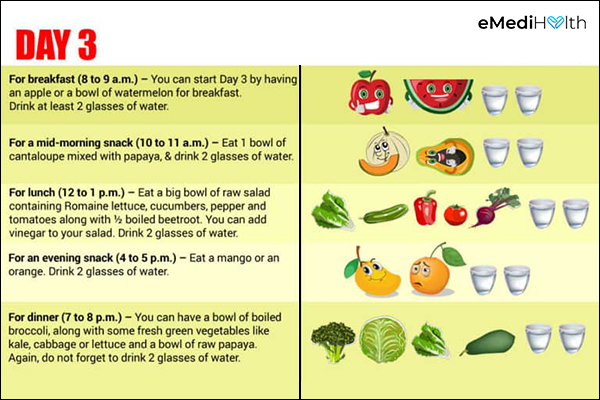 a sample 7 day gm diet plan day 3